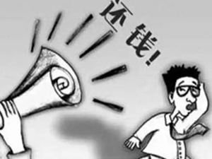 个人 25 万借款逾期追回